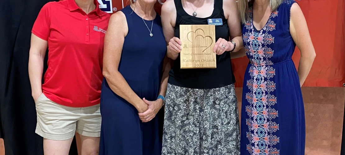 KO Heart of Extension Award